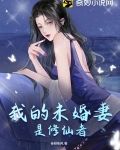 我的未婚妻是修仙者