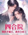 四合院：我医手遮天，禽兽全麻了