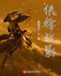 侠锋战影