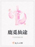 鹿觅仙途