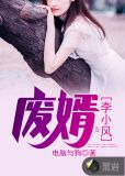 废婿,李小风